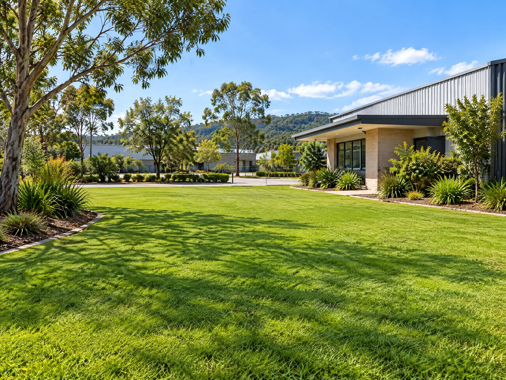 Natural turf area alongside a commercial property